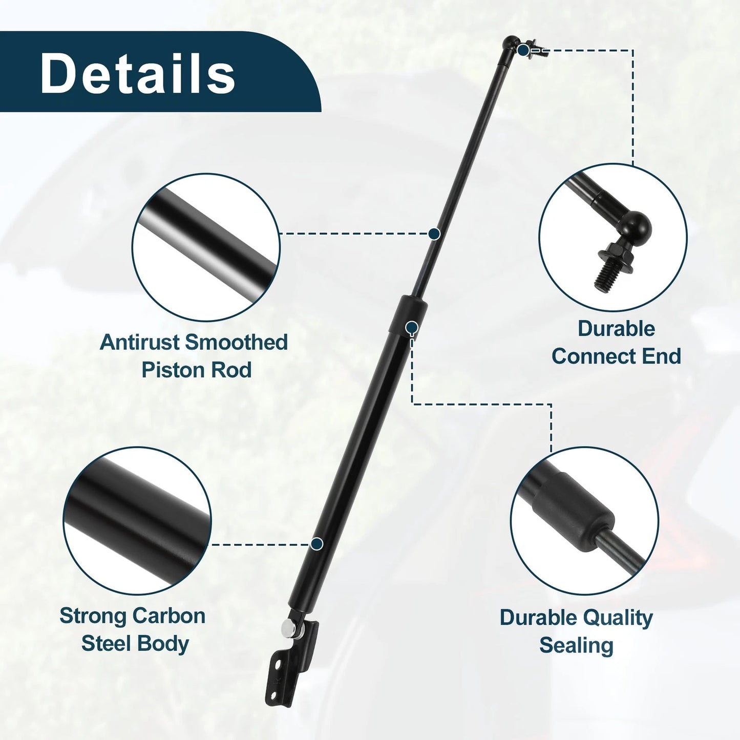 Rear Hatch Lift Supports for Subaru Forester (2003-2018)