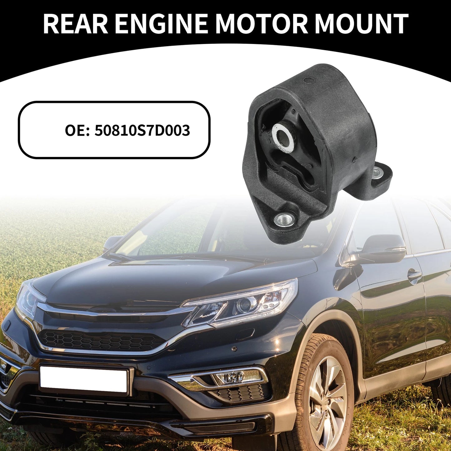 Engine Motor Mount for Honda CR-V, Honda Element (2002-2006)
