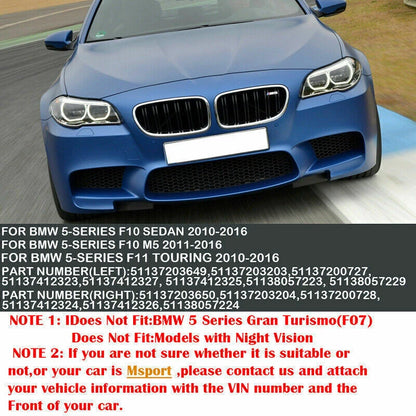 Black Front Kidney Grille for BMW 5-Series F10 F11 F18 528i 535i (2010-2016)