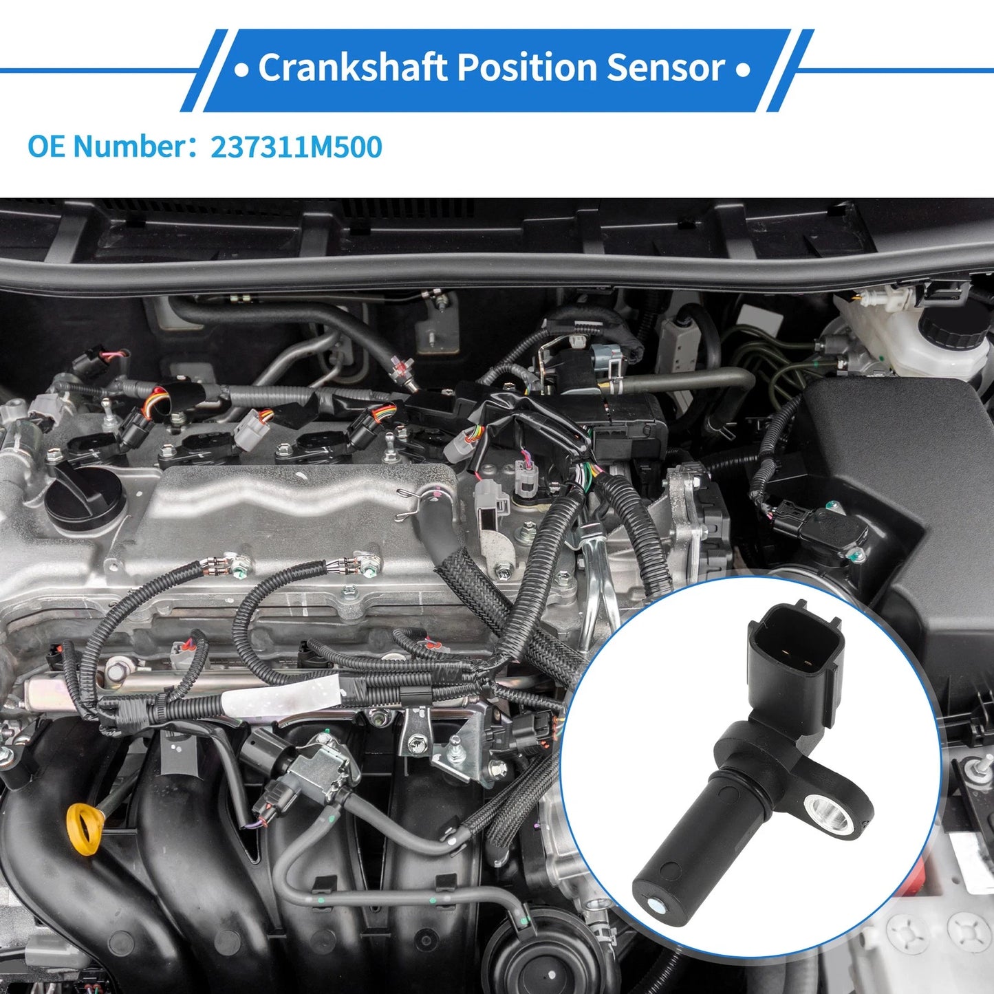 Crankshaft Position Sensor for Nissan Sentra 1.6 (1995-1998)