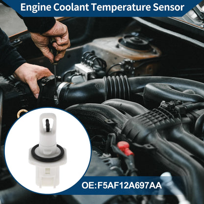 Engine Coolant Temperature Sensor for Ford Focus (2012-2018)