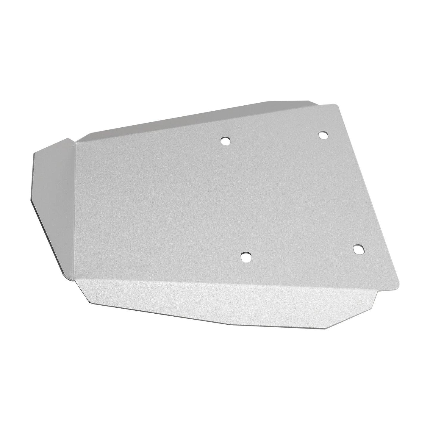 License Plate Holder for BMW R1300GS (2023-2024)