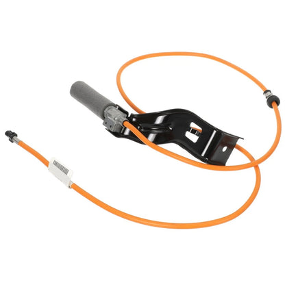 Aerial Radio Antenna Base Mount & Cable for Ford F150 (2015-2018)