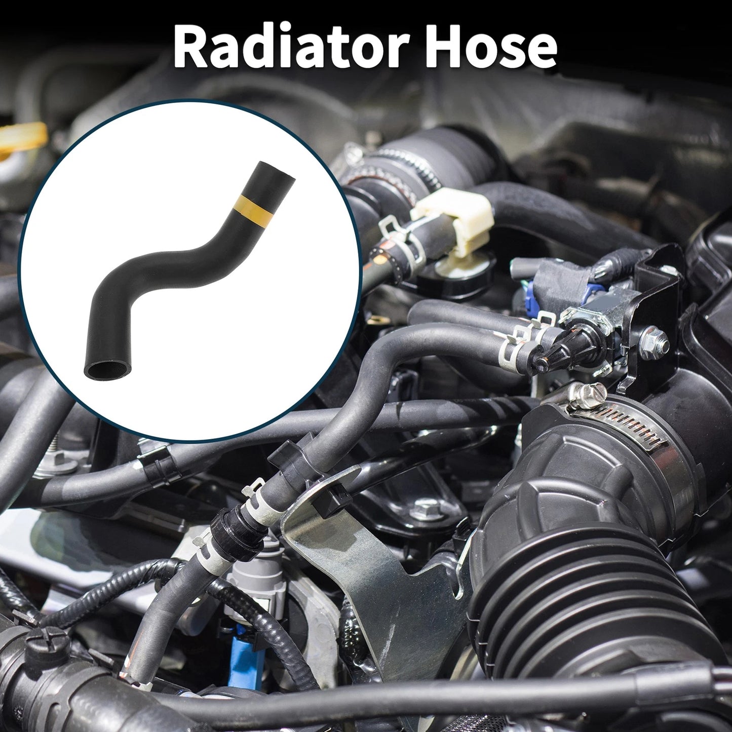 Radiator Hose for Toyota Prado 4.0L TX (2010-2019)