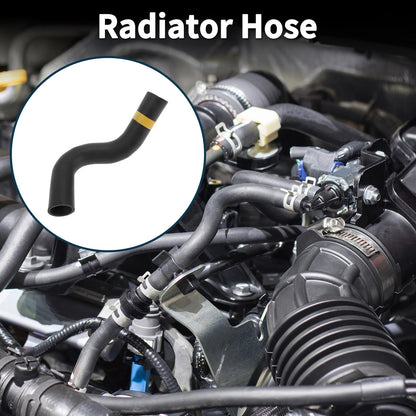 Radiator Hose for Toyota Prado 4.0L TX (2010-2019)