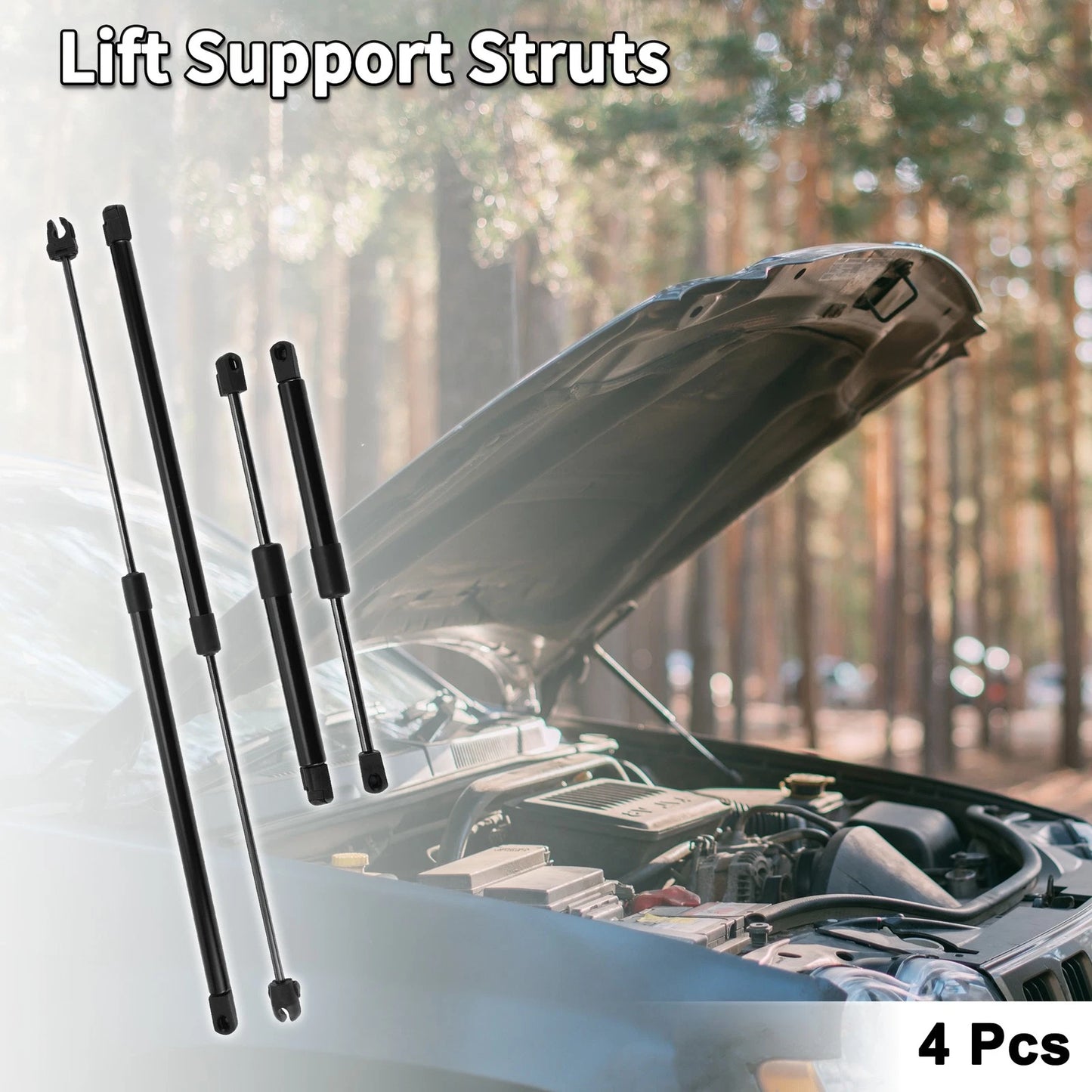 Front Hood & Tailgate Lift Supports Struts Set for Dodge Intrepid (1998-2004)