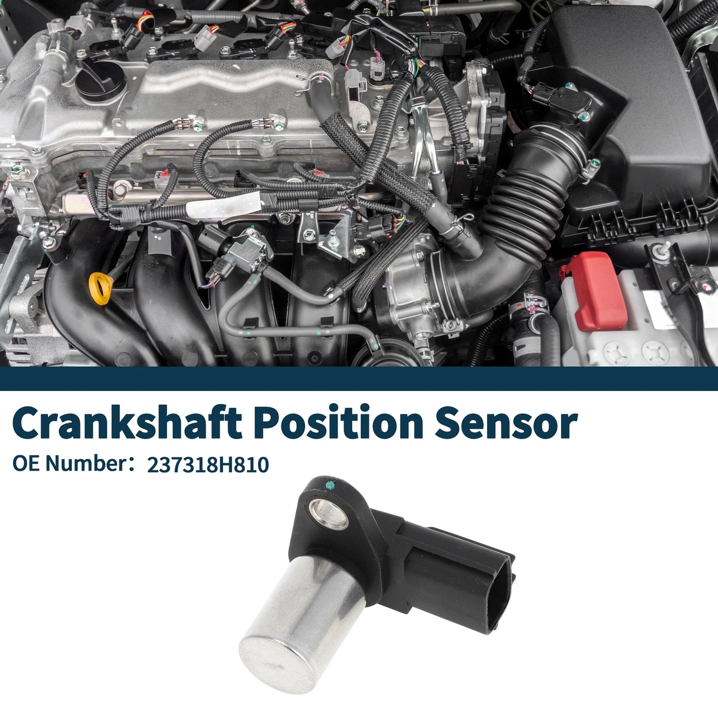 Crankshaft Position Sensor for Nissan X-Trail 2.2DCi (2001-2004) 1 Pc