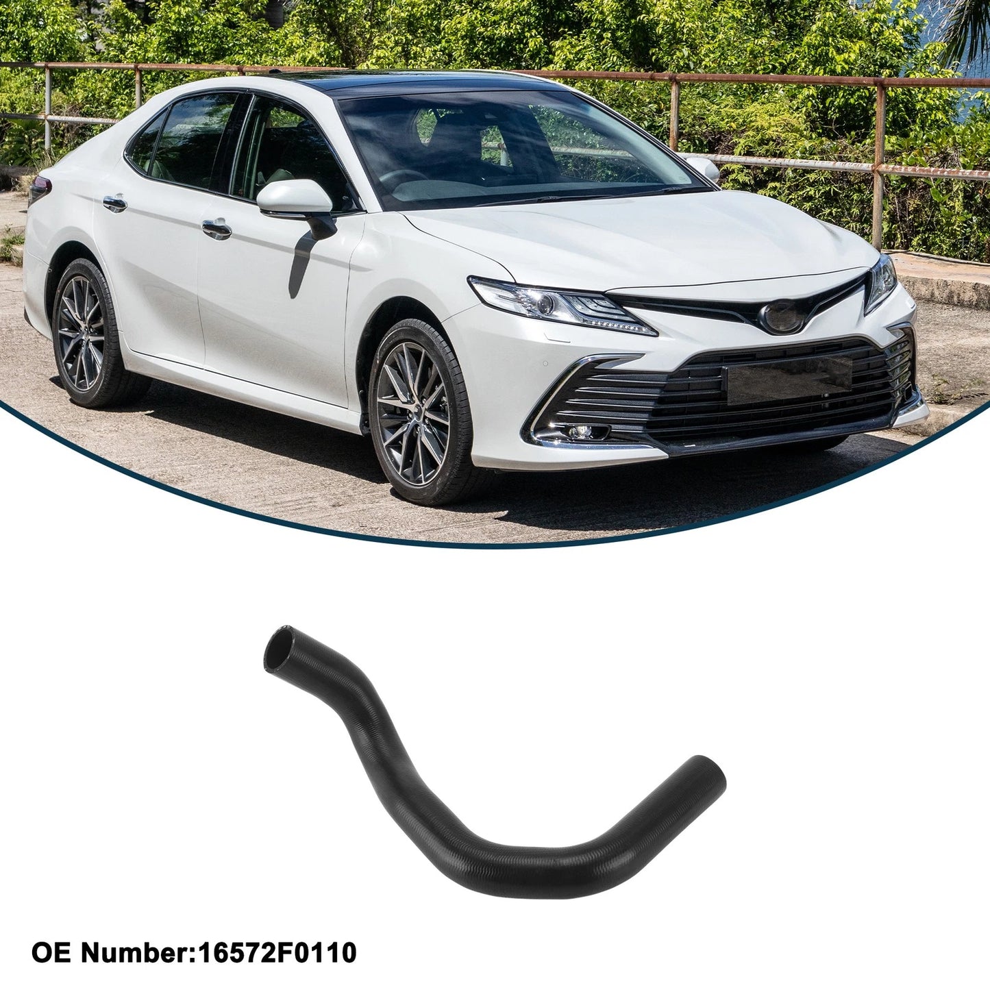 Radiator Hose for Toyota Camry (2019–2023)