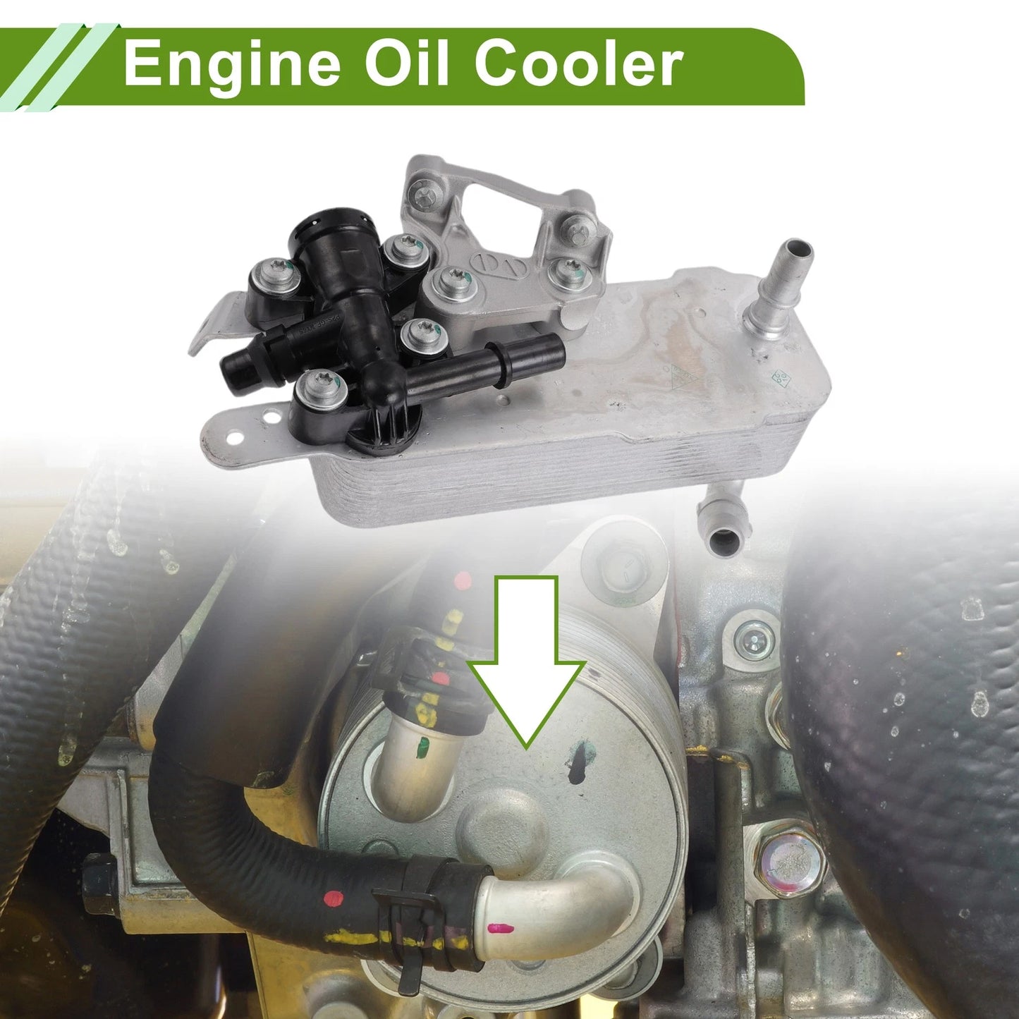 Engine Oil Cooler for BMW 230i (2017-2023)