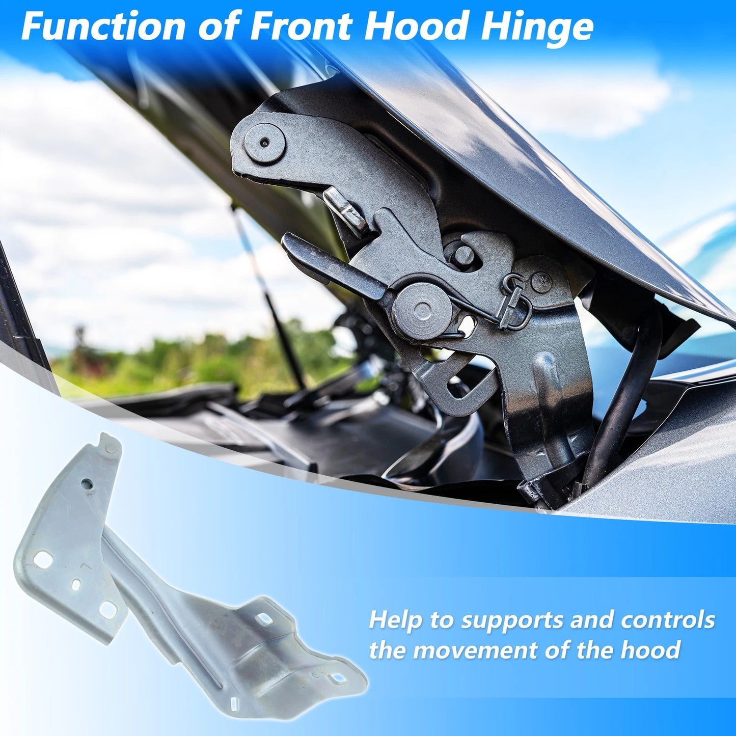 Hood Hinge for Ford Edge 2015-2024 ( Front Left & Right)