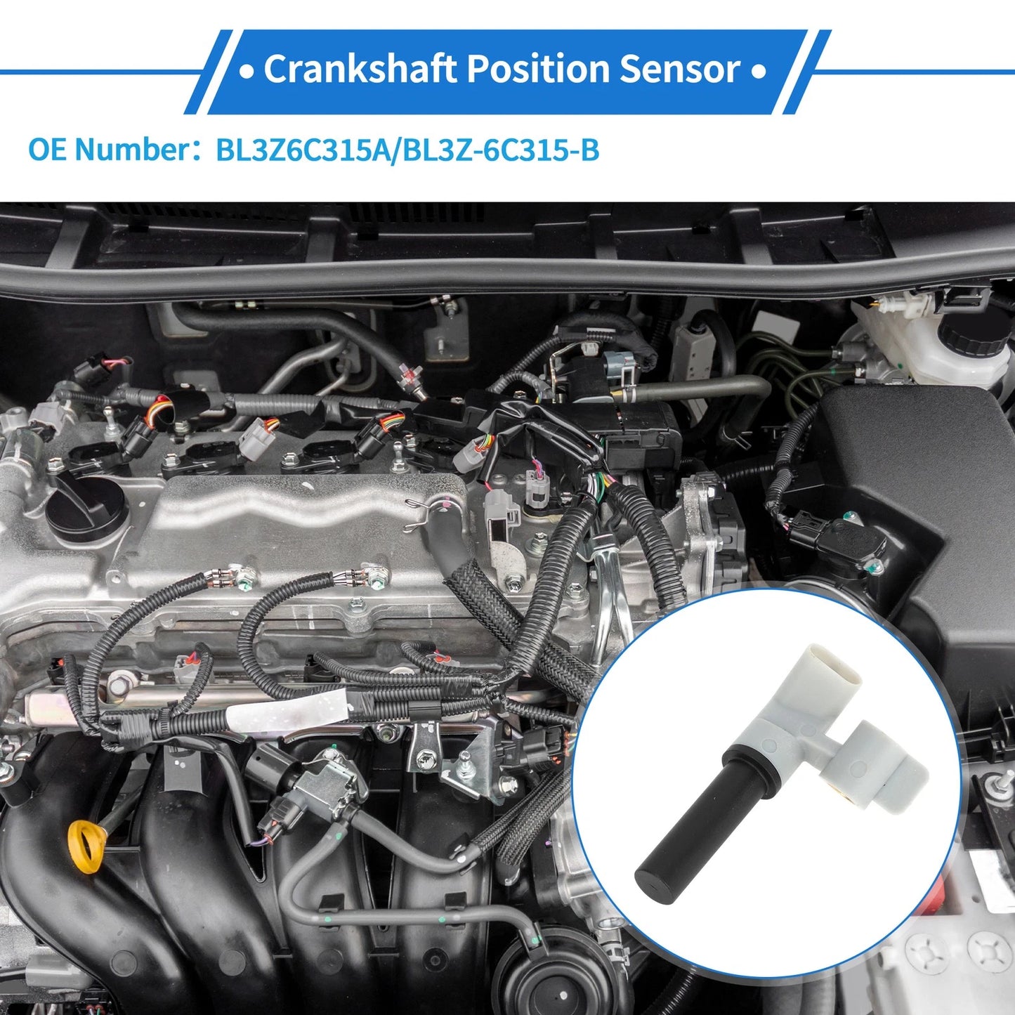 Crankshaft Position Sensor for Ford Explorer Sport 3.5L (2013-2019)