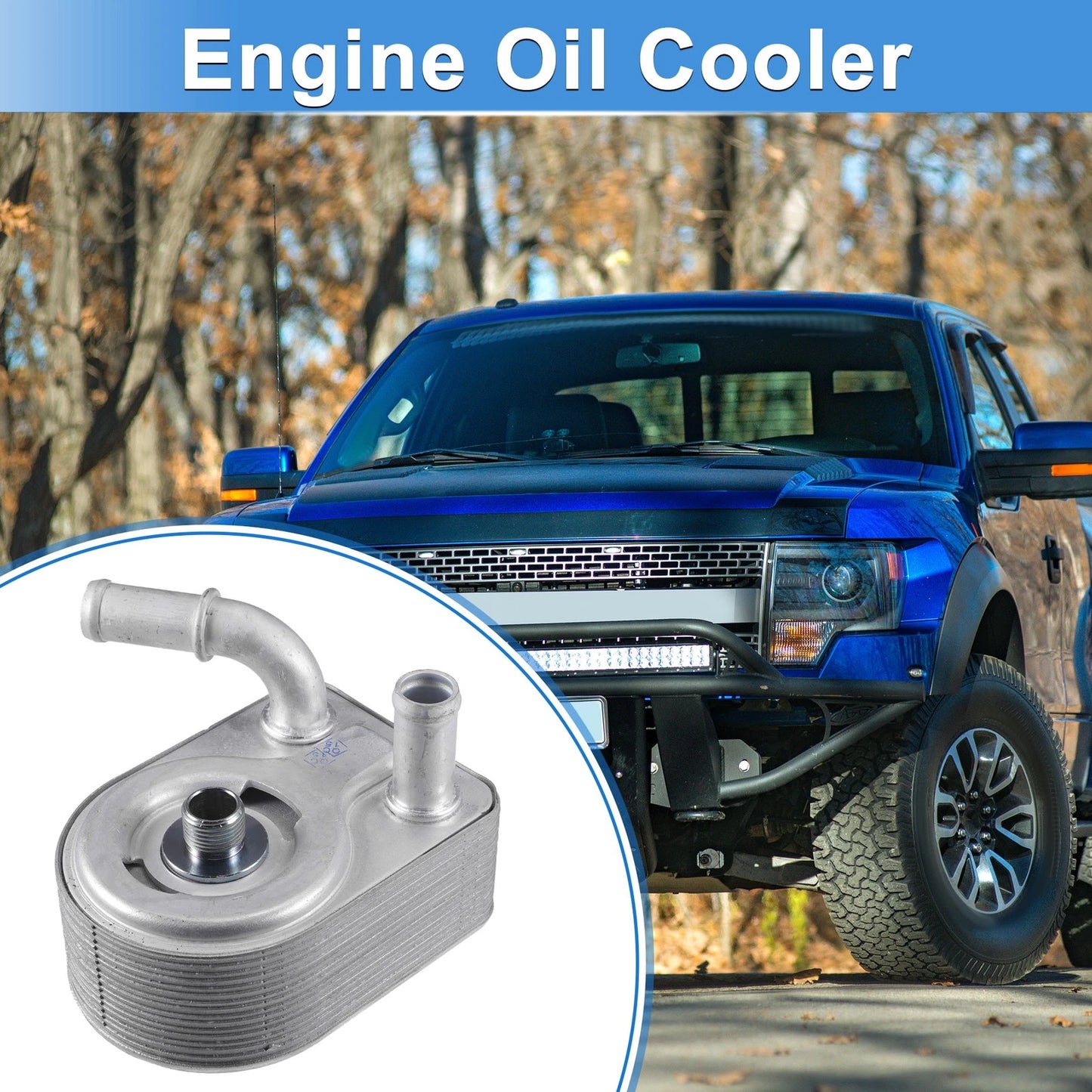 Engine Oil Cooler for Ford Fiesta (2011-2013) with Bolt