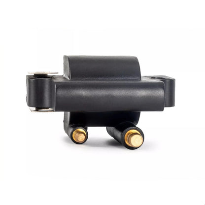 Outboard Coil for Johnson Evinrude BRP/OMC 582508 18-5179