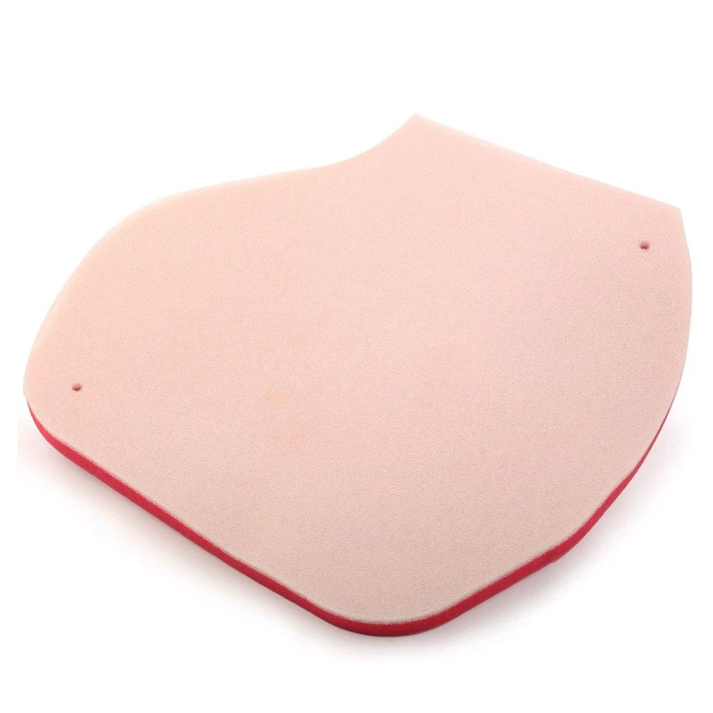 Air Filter Cleaner for Yamaha Grizzly 550 YFM550, 700 YFM700 (2009-2015)