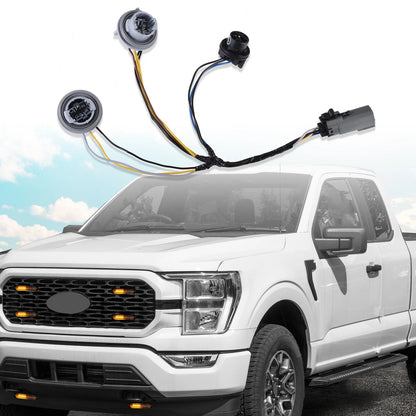 Tail Light Socket & Wire Harness for Ford F150 (2018)