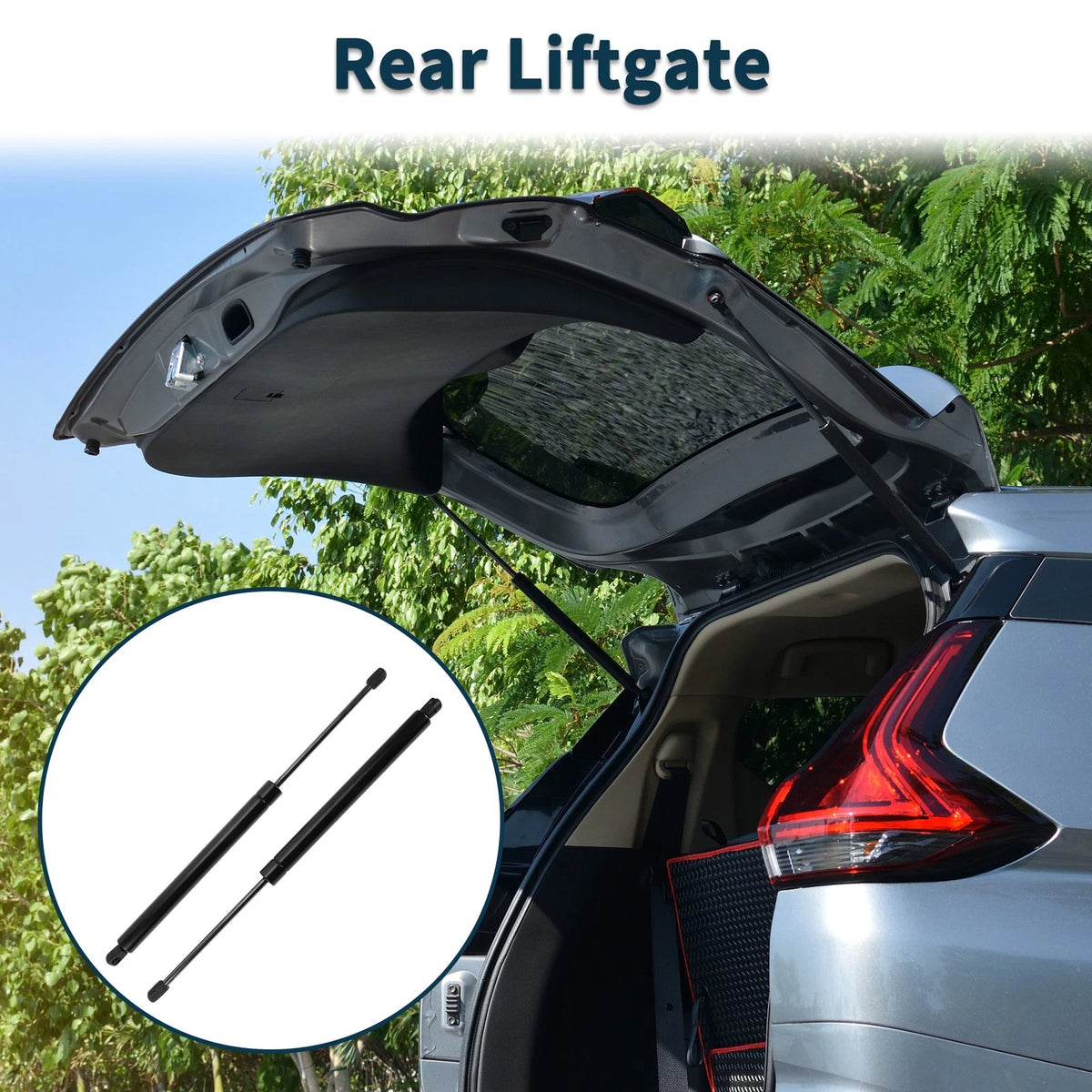 Rear Hatch Lift Supports for Honda Pilot Sport Utility (2016-2023)