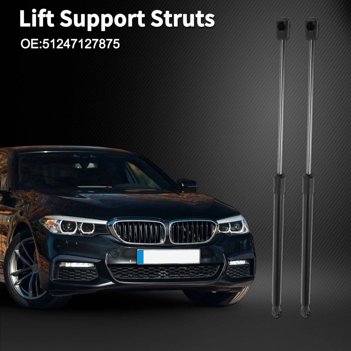 Tailgate Lift Supports Struts for BMW 3 Series E91 Touring (2006-2013)