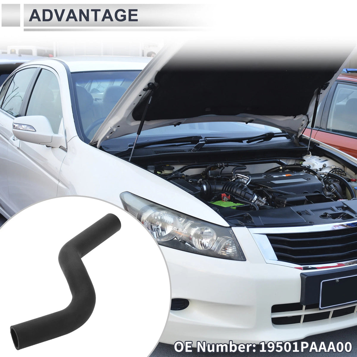 Radiator Coolant Hose for Honda Accord 2.3L (1998-2002)
