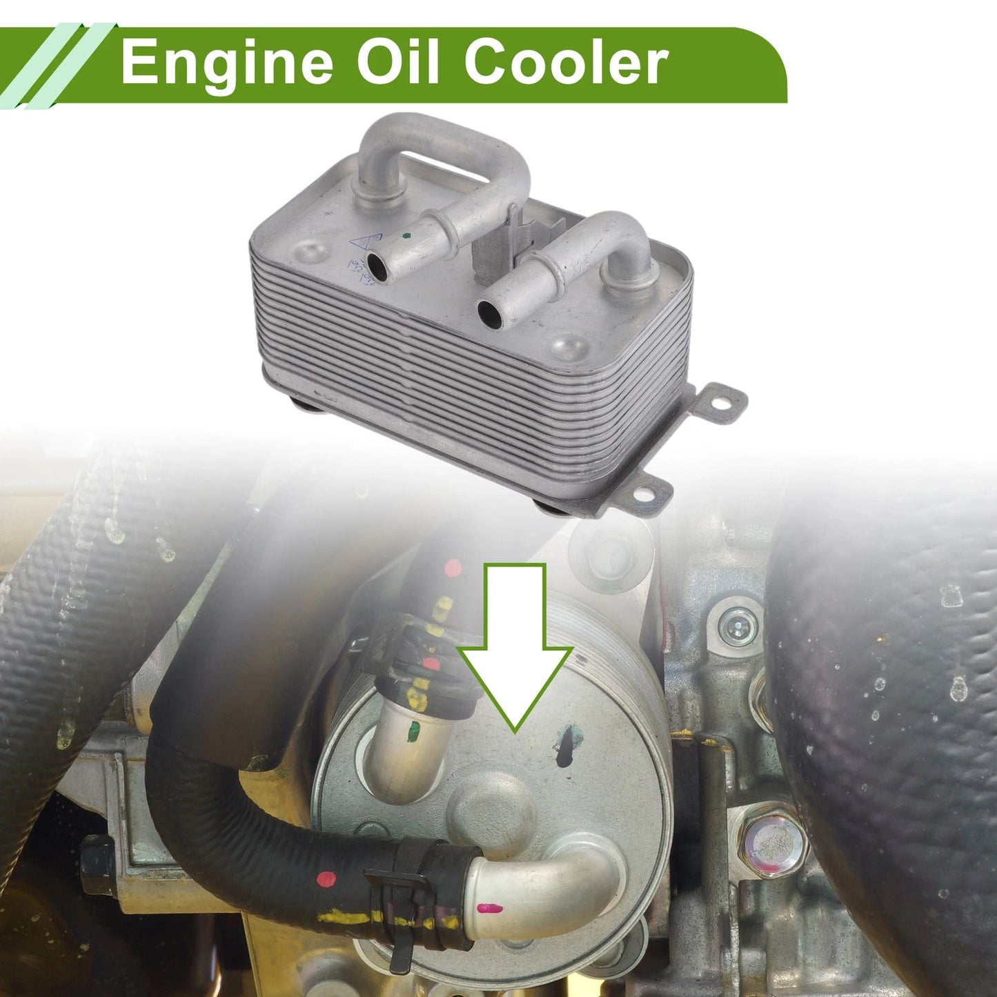 Engine Oil Cooler for BMW 525i (2001-2007)
