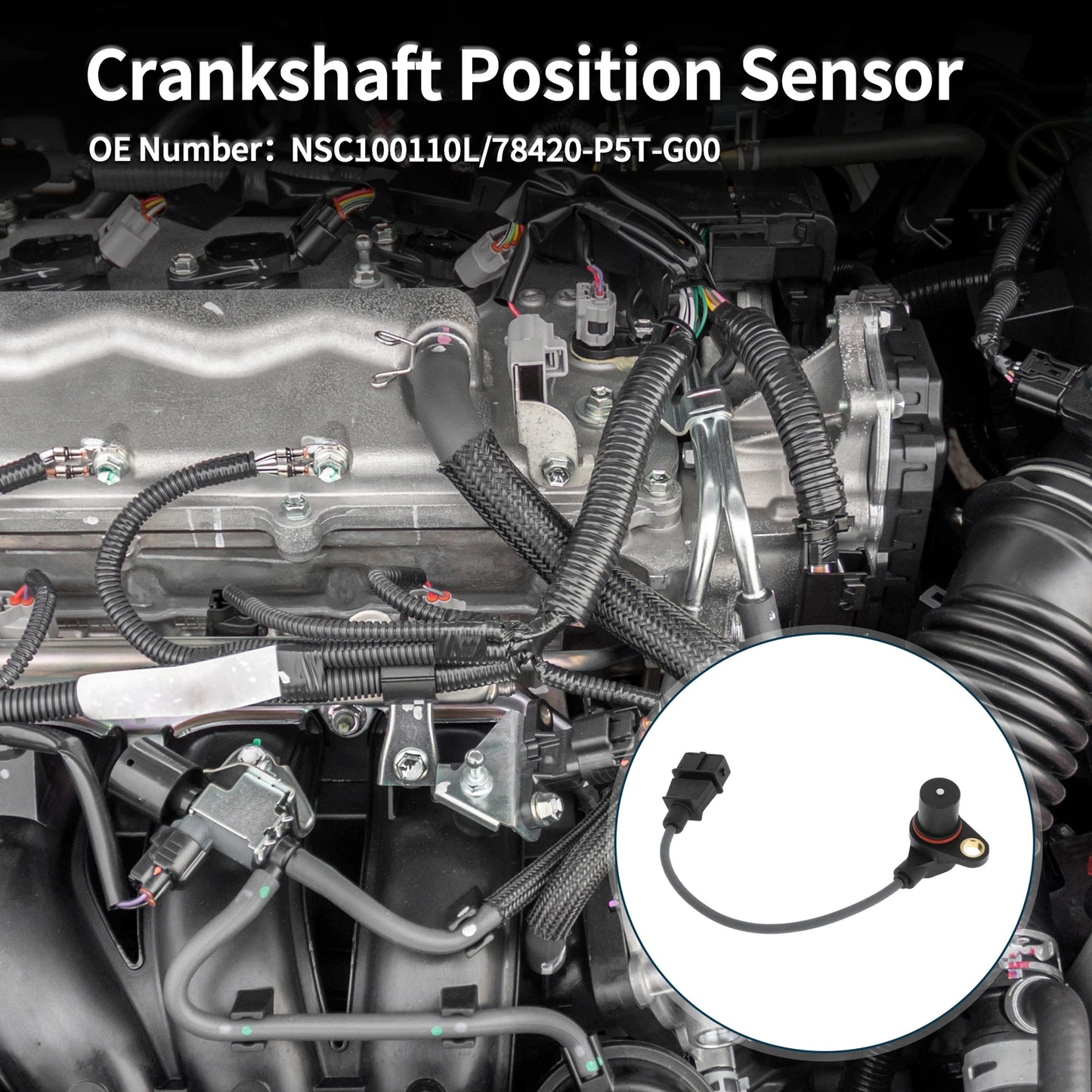 Crankshaft Position Sensor for Honda Accord 2.0 Turbo (1999-2002)