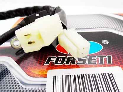 FORSETI Stator Magneto Generator Assembly for YAMAHA XVS650 V-STAR (04-13)