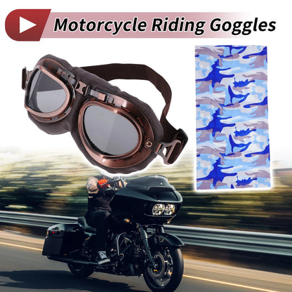 1 x Motorcycle Riding Goggles for PC Cycling Sunglasses