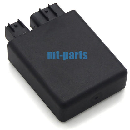 CDI Unit Assy for Yamaha FZ16 (2010)