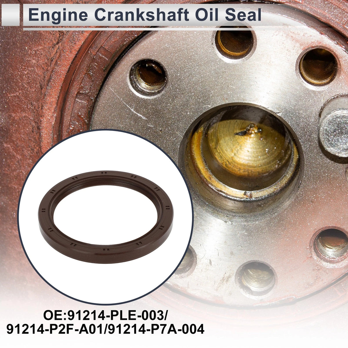 Rear Crankshaft Oil Seal for Honda Accord (2003-2007)