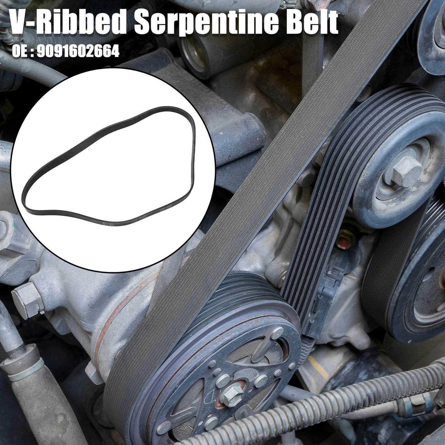 V-Ribbed Serpentine Drive Belt for Toyota Corolla (2011–2013)