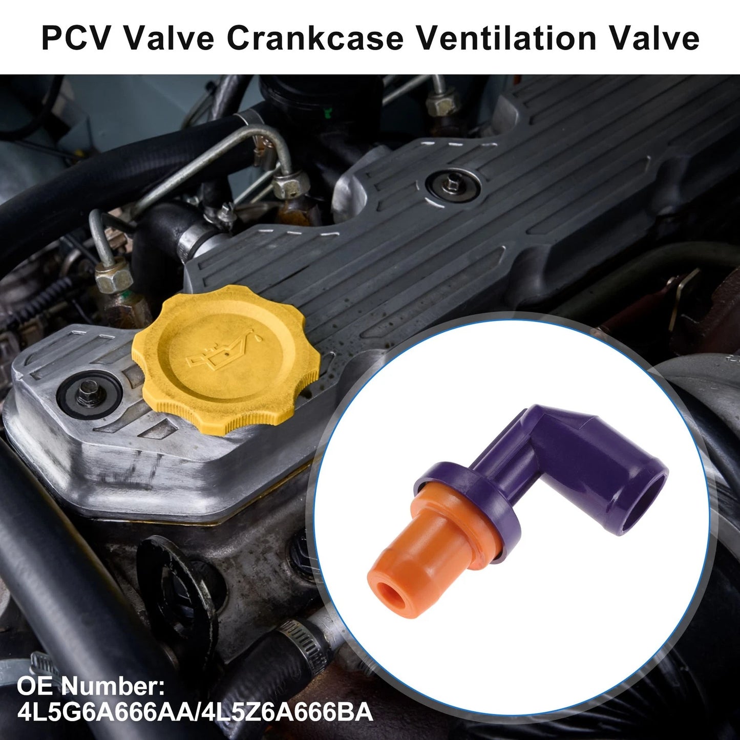 PCV Valve for Mazda 6 3.0L (2006–2007)