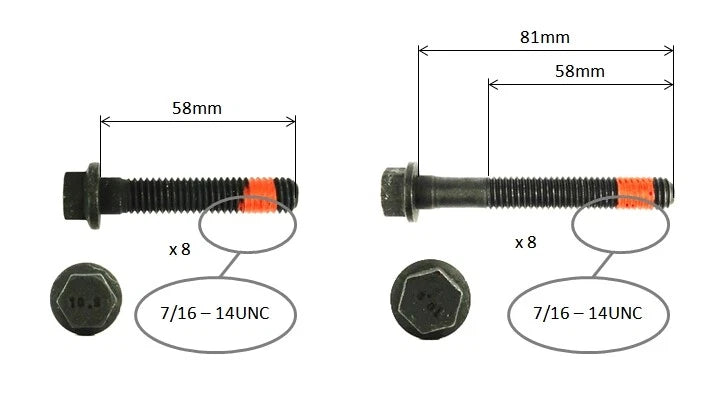 Head Gasket Set and Head Bolts for Holden Commodore VS VT (1995–1998)