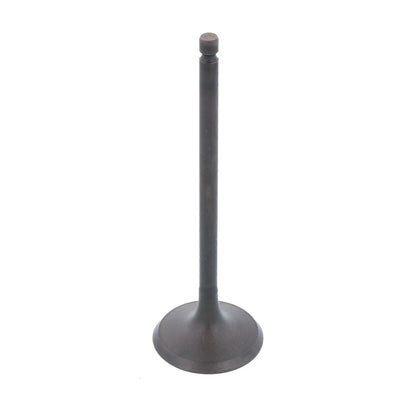 Engine Intake Valve for Polaris Sportsman 550 (2009–2014)