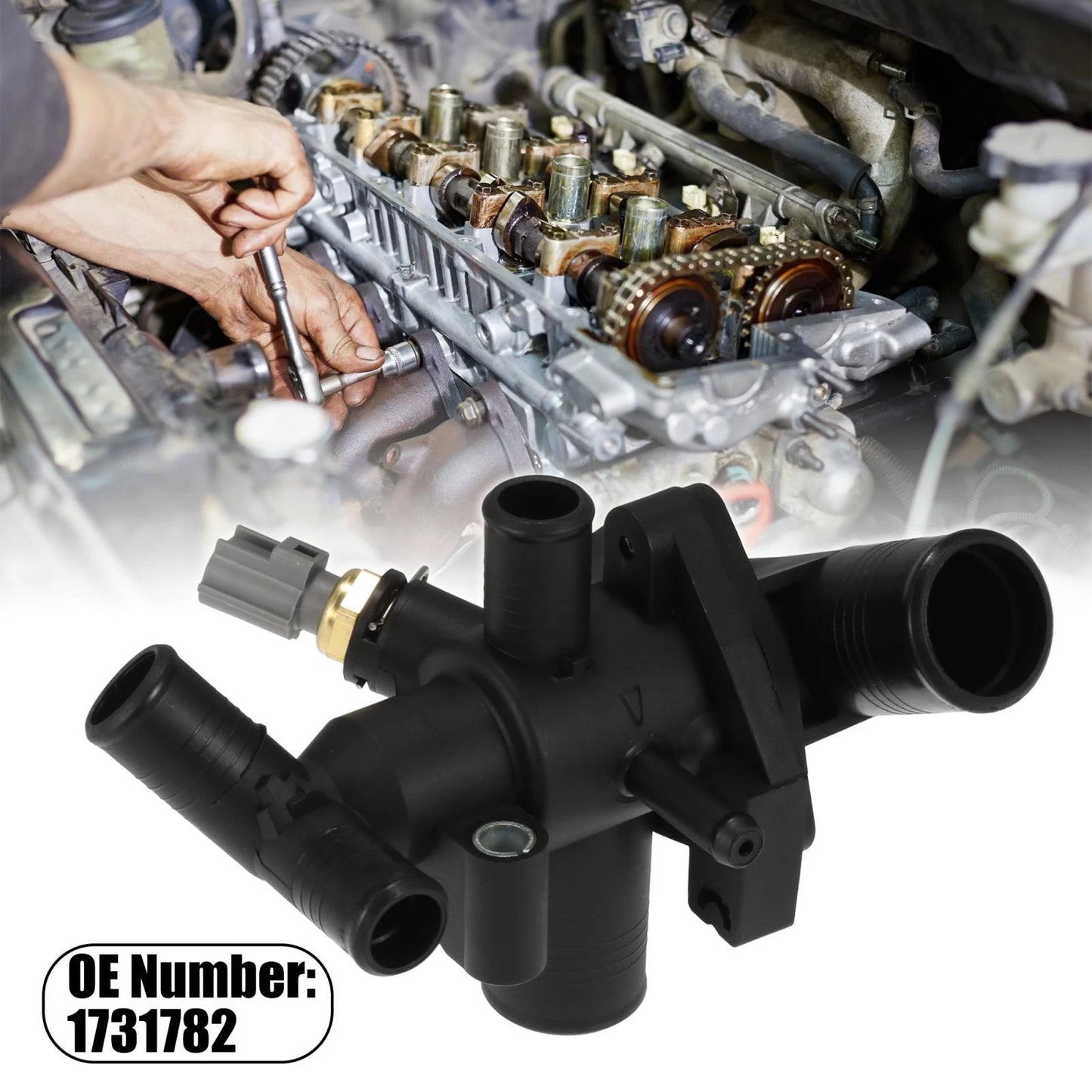 Thermostat Housing Accessory for Ford Transit MK7 MK8 2.2 RWD (2006-2014)