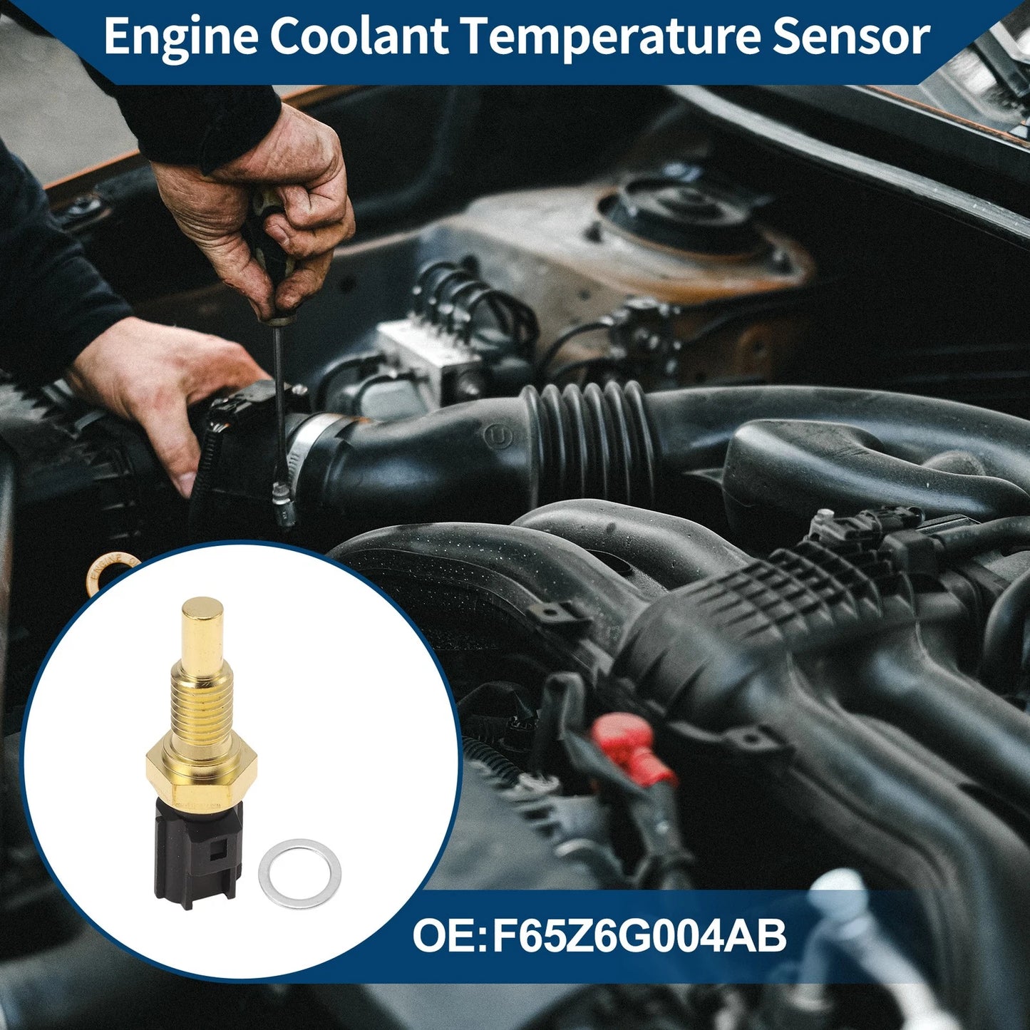 Engine Coolant Temperature Sensor for Ford (F65Z6G004AB)