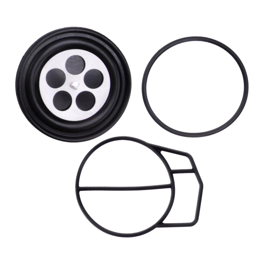 Carburetor Repair Kit for TIGERSHARK TS640 TS770 TS1000 MONTEGO (1995-2000)