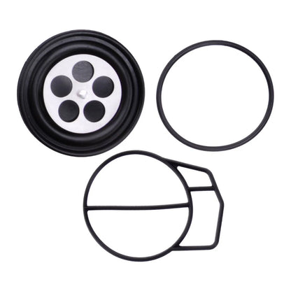 Carburetor Repair Kit for TIGERSHARK TS640 TS770 TS1000 MONTEGO (1995-2000)