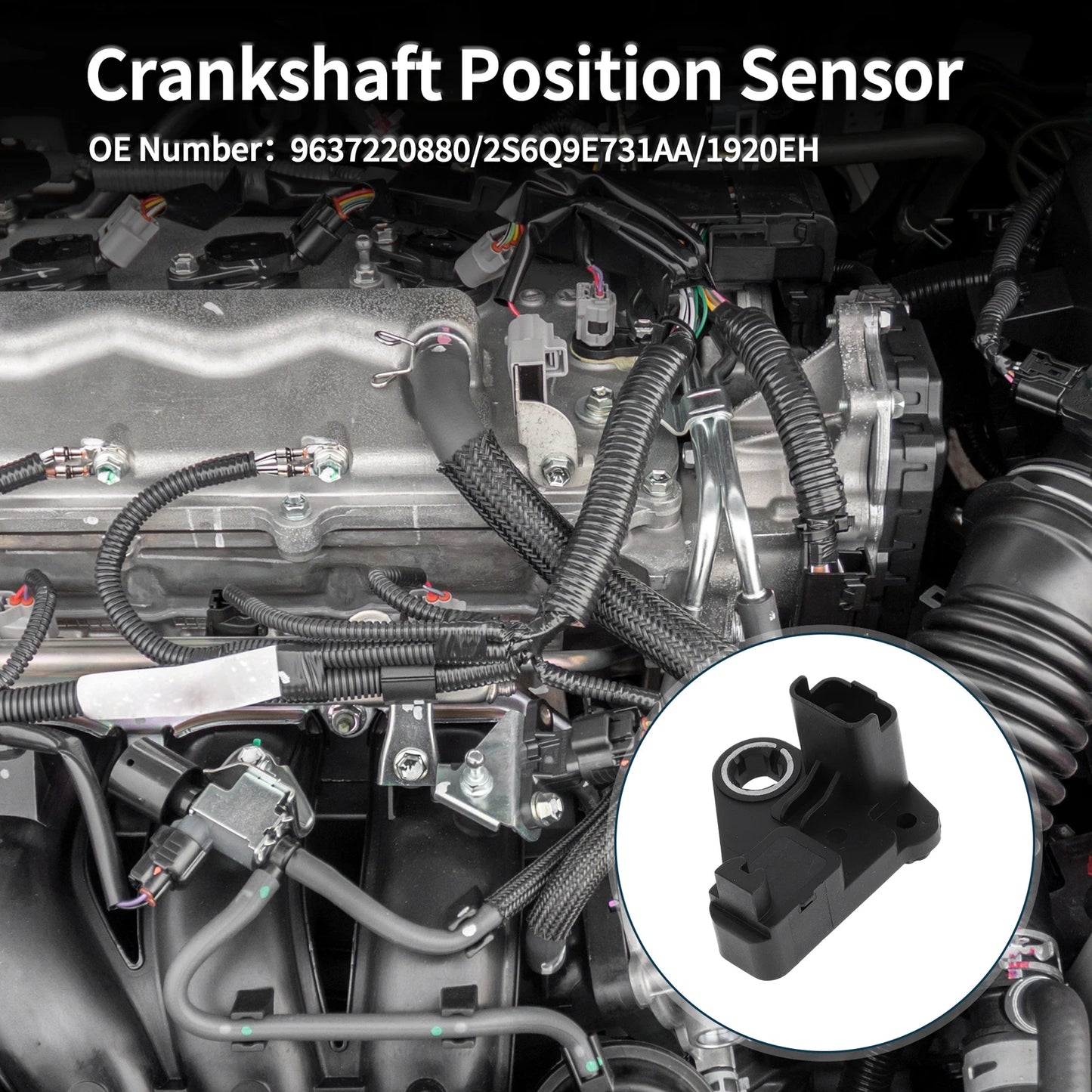 Crankshaft Position Sensor for Ford Fiesta 1.4 TDCi (2008-2012) 1 Pc