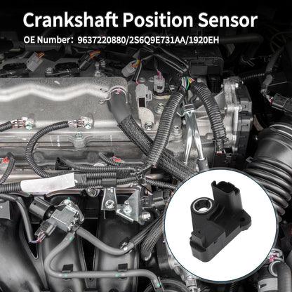 Crankshaft Position Sensor for Ford Fiesta 1.4 TDCi (2008-2012) 1 Pc