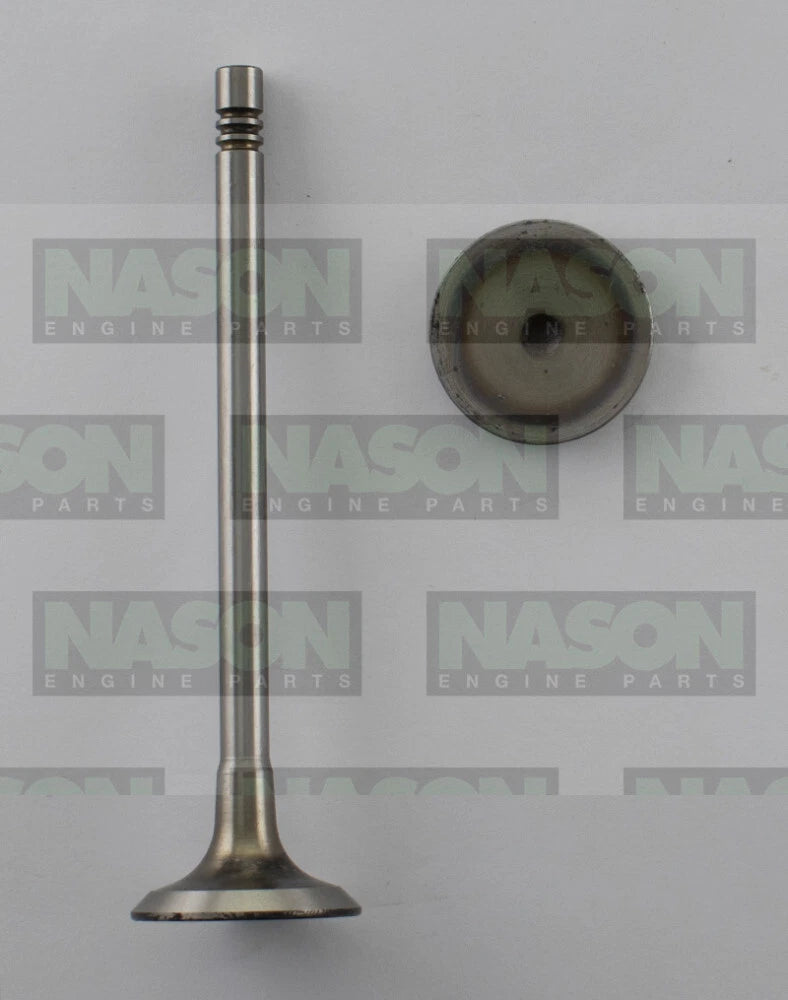 8 x Inlet Valve for Nissan Navara 2.3L YS23DDT YS23DDTT