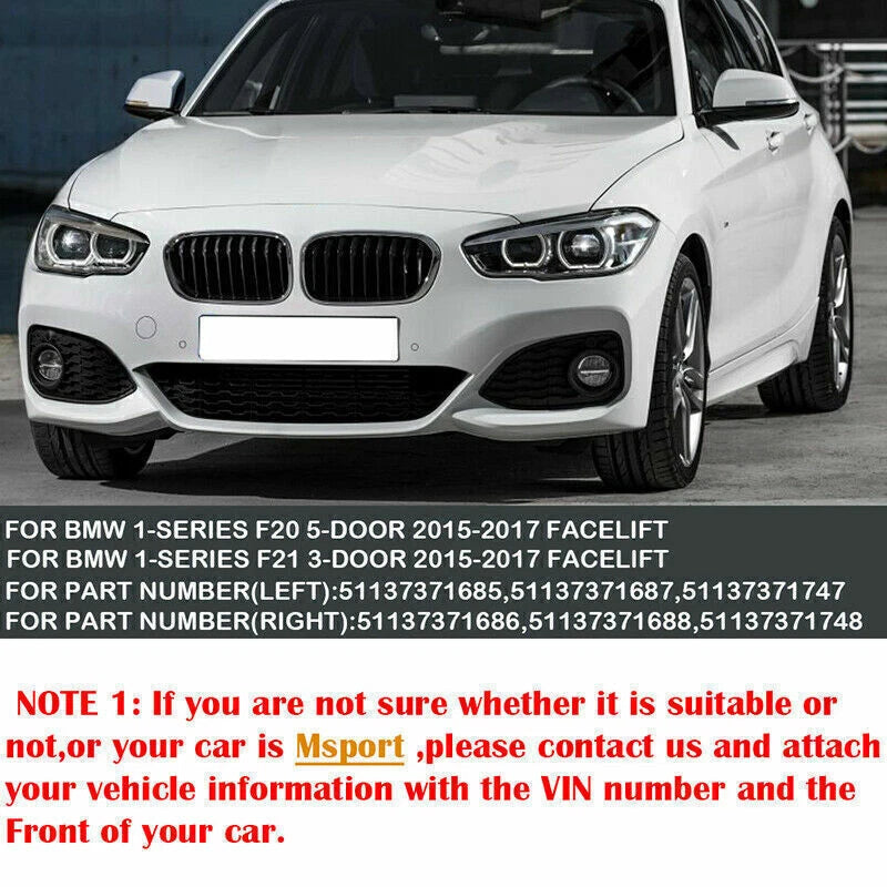 Front Kidney Grille Twin Slat for BMW F20 F21 1 Series (2015-2017)