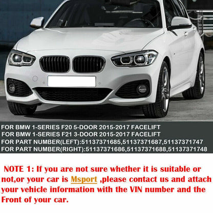 Front Kidney Grille Twin Slat for BMW F20 F21 1 Series (2015-2017)