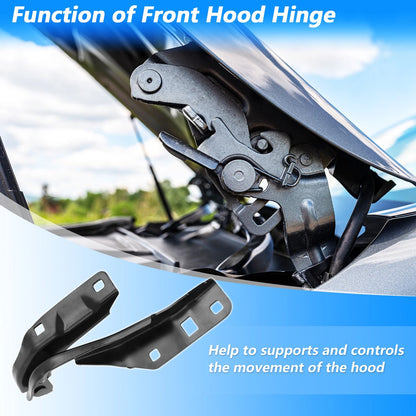 Front Hood Hinge for Chevy Colorado & GMC Canyon (2015-2022)