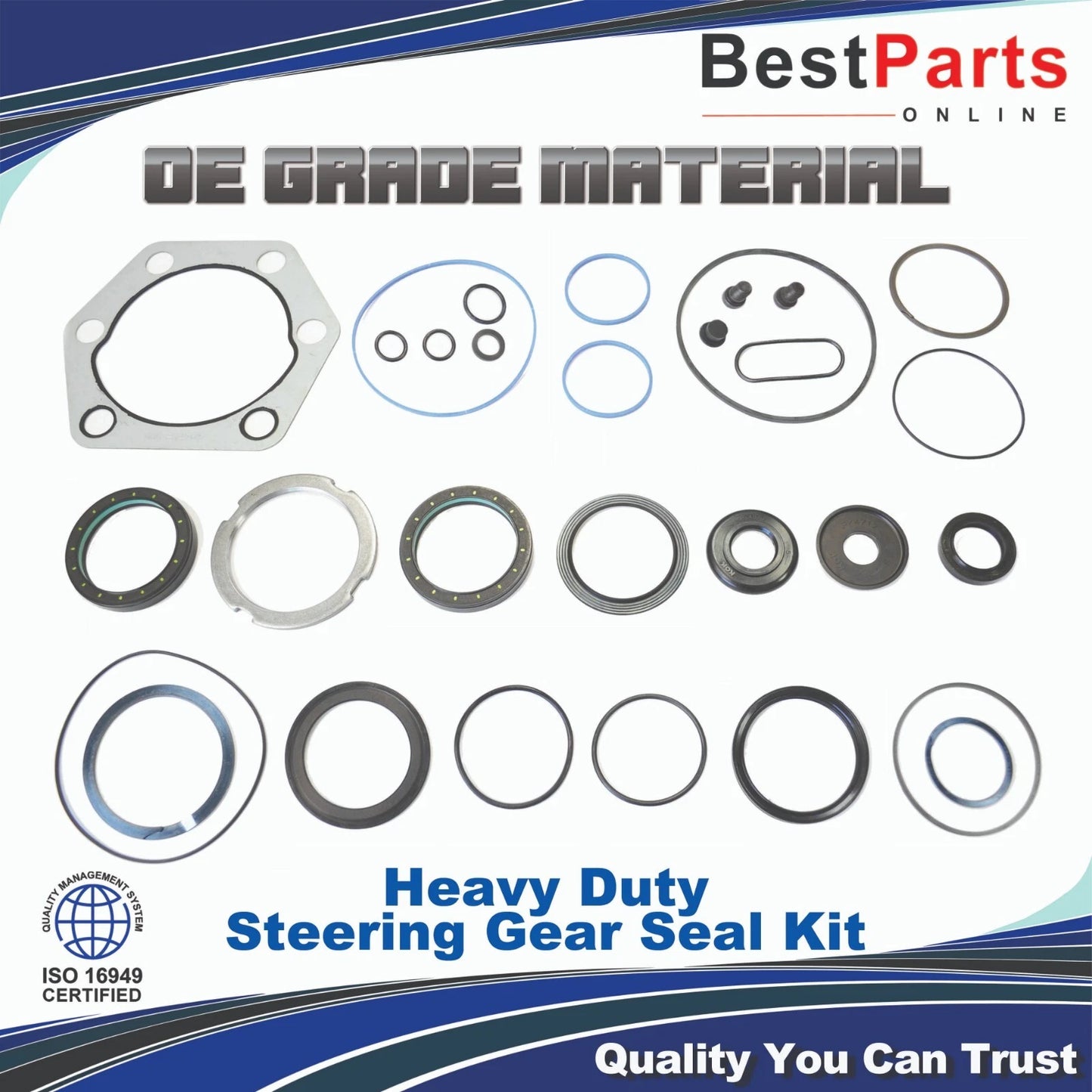 Gear Seal Kit for TRW