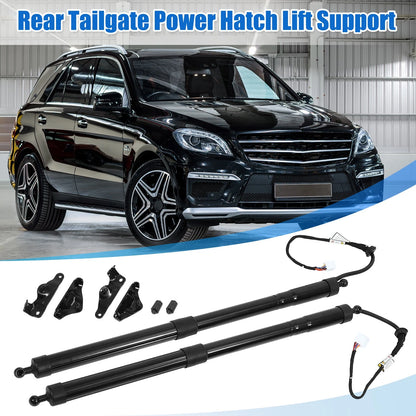 Tailgate Lift Supports  for Toyota Highlander (2001-2023)