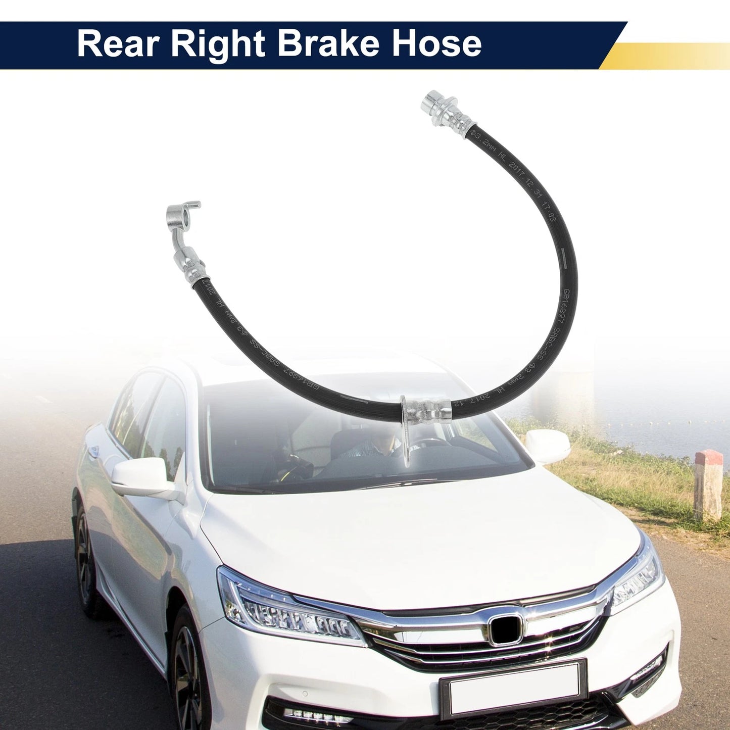 Rear Right Brake Hose for Honda Accord (2008-2012)