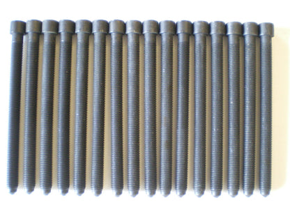 16 HEAD BOLTS for VW A4 A6 A8 Allroad Passat Skoda Superb (1995–2005)