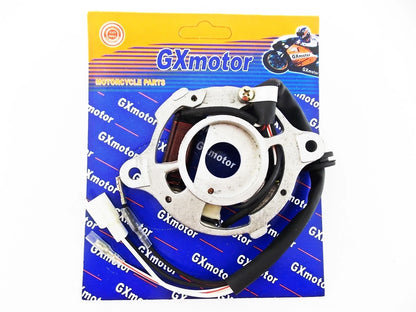 GTMOTOR G50T GXMOTOR Stator Magneto Ignition Coil Assembly for Car