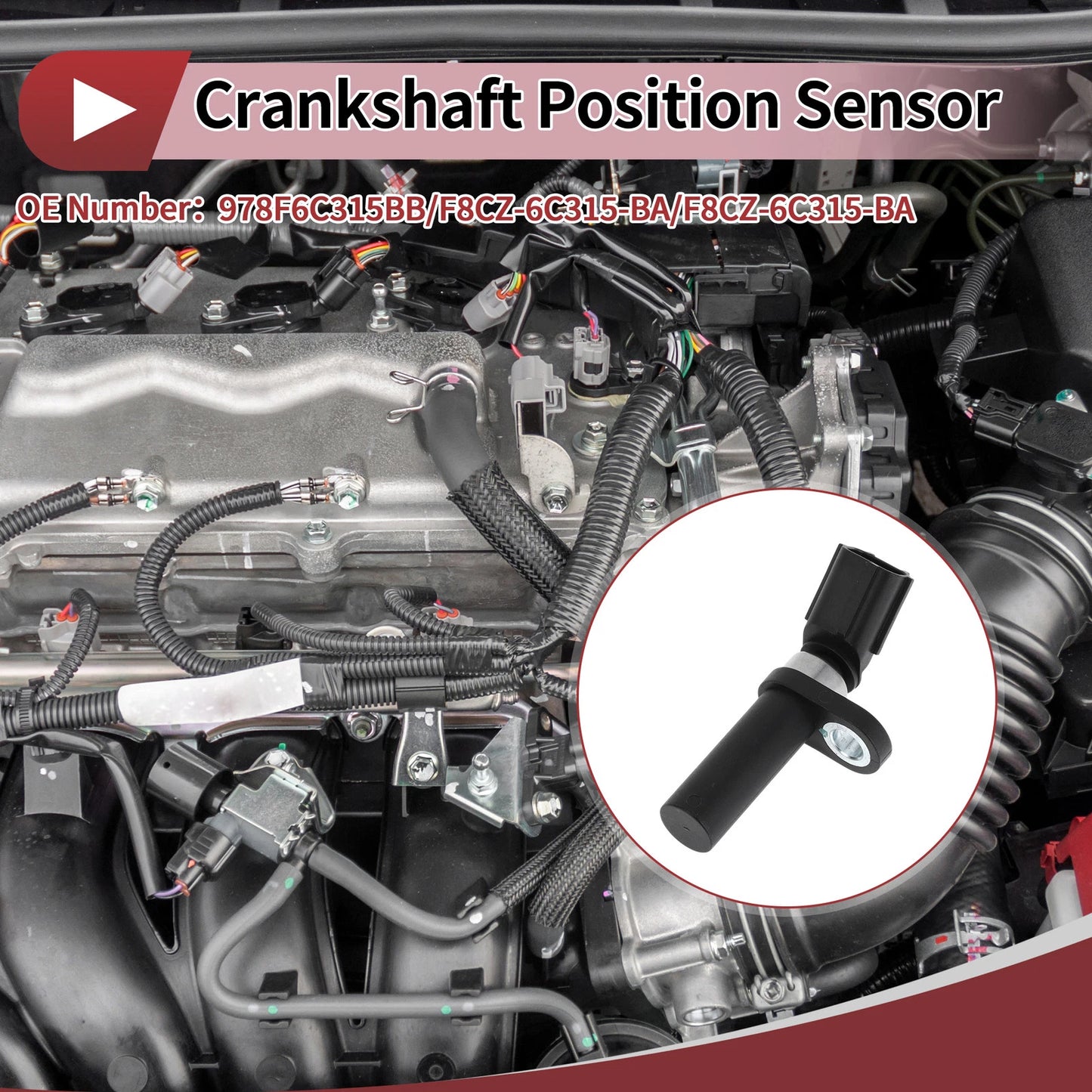 Crankshaft Position Sensor for Ford Contour LX SE 2.0 (1999-2000)