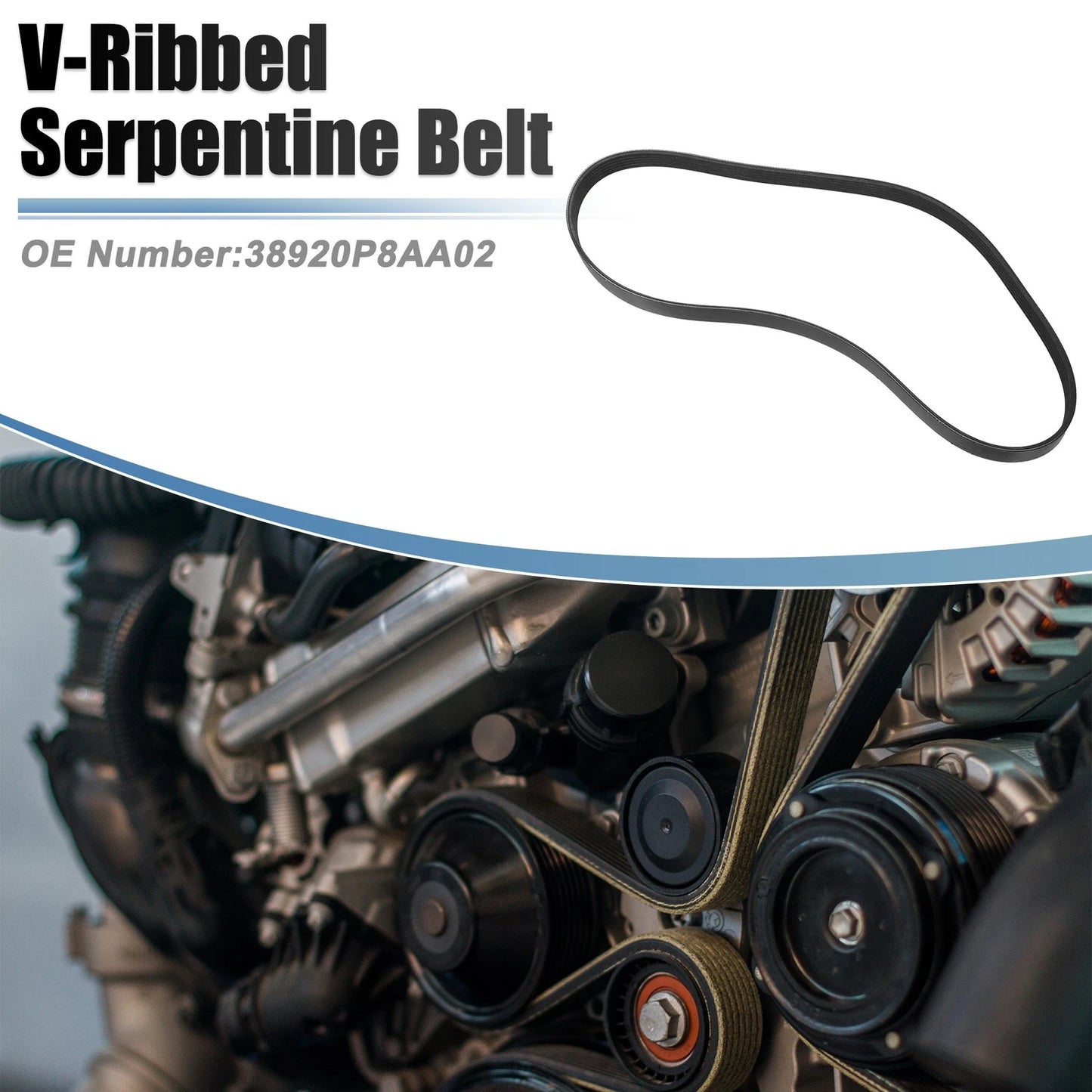 V-Ribbed Serpentine Drive Belt for Infiniti FX35 (2003 - 2007)