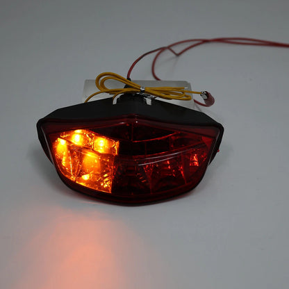 LED Tail Light Brake Turn Signal for Ducati Monster 696/795/796 (2008-2014)